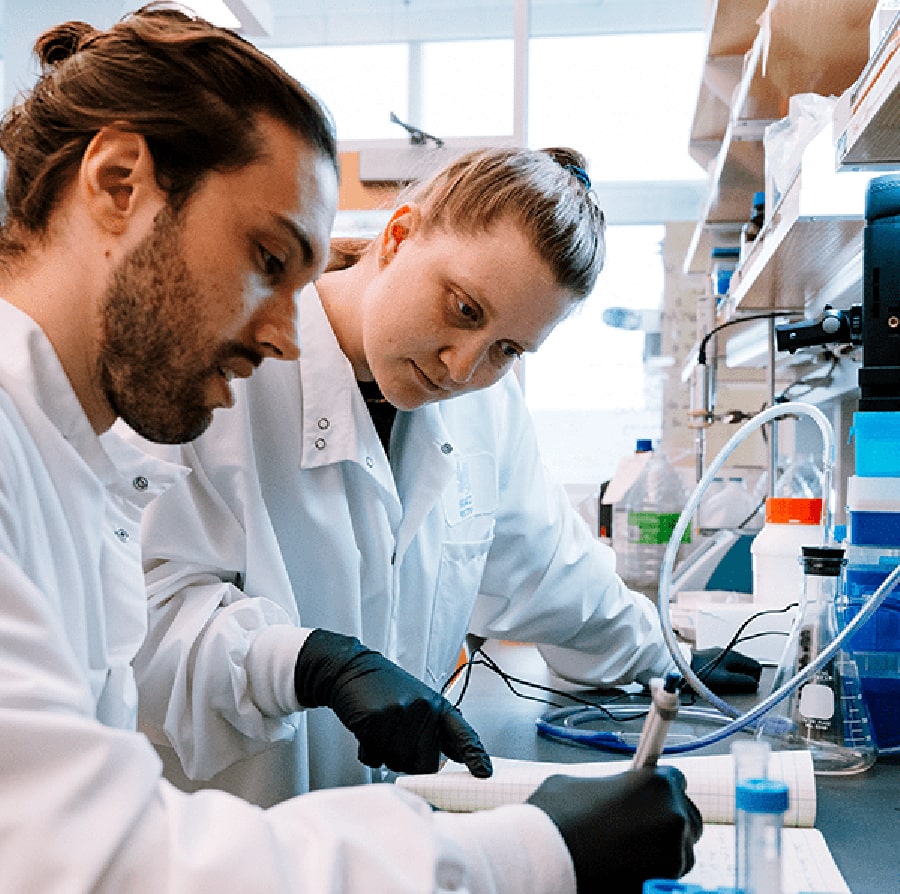 researchers working in the wet labs at UMass Boston's Integrated Science Complex